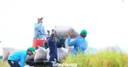 Vì sao vựa nông sản lớn nhất Việt Nam 'đứt gãy' chuỗi giá trị?