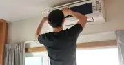 Vệ sinh điều hòa sau 1 năm: Phát hiện tổ kiến, xác côn trùng và tắc kè sống