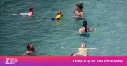 Vi khuẩn 'ăn thịt người' Vibrio ở châu Âu: Nguy cơ từ nắng nóng kỷ lục