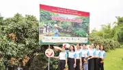 Vải thiều Bắc Ninh 2026: Sản lượng giảm, giá cao kỷ lục nhờ blockchain