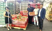 Vải thiều Việt Nam lần đầu xuất khẩu sang Houston, Hoa Kỳ