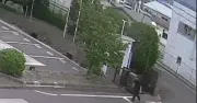 Video gấu đen rượt đuổi tấn công người giữa phố ở Nhật Bản