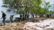 Video: Điều tra nguyên nhân vụ cháy rừng phòng hộ ven biển tại Quảng Trị
