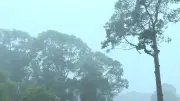 Video: Không khí lạnh gây mưa lớn cho miền Bắc