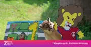 Video những hình ảnh đầu tiên của tuyển Hàn Quốc tại World Cup