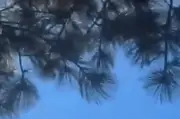 Video tiêm kích F/A-18 của Mỹ lao xuống đất bốc cháy