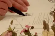 Video Tổng thống Trump ký bản ghi nhớ với Iran tại Versailles
