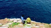 Vietnam Wild lần đầu tiên đưa thiên nhiên hoang dã Côn Đảo lên sóng trực tiếp