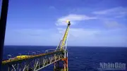 Vietsovpetro đạt mốc khai thác 255 triệu tấn dầu thô từ lô 09-1