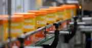 Vinamilk tự chủ sản xuất sữa bột, kiểm soát chất lượng toàn diện từ gốc