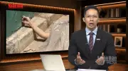 Việt Nam cử lực lượng cứu nạn khẩn cấp tới Venezuela sau động đất kép
