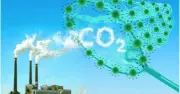 Việt Nam khai trương sàn giao dịch carbon vào ngày 29/6