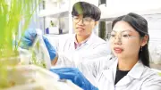 Việt Nam làm chủ công nghệ chọn giống thế hệ mới, nâng cao năng suất nông nghiệp