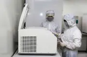 Việt Nam làm chủ vật liệu mới: Nền tảng cho công nghiệp và công nghệ quốc gia