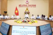Việt Nam tham vấn hoàn thiện thiết kế thị trường điện cạnh tranh
