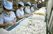 Việt Nam và Singapore gắn kết sâu trong chuỗi cung ứng công nghiệp công nghệ và năng lượng