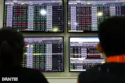 VN-Index thủng mốc 1800 điểm: Nhà đầu tư có nên bắt đáy?