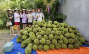 Vườn sinh thái 3ha ở Cần Thơ không thu vé, ngày đón 500 khách