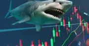 VNM ETF thêm cổ phiếu VPL, MSB, loại HDG, CTR trong cơ cấu tháng 6