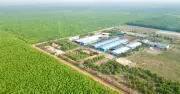 VRG đặt mục tiêu thành tập đoàn nông nghiệp xanh hàng đầu thế giới
