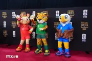 World Cup 2026: Đội tuyển Iran được cấp thị thực vào Mỹ