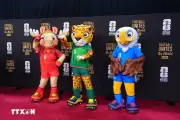 World Cup 2026: Tinh thần và màu cờ sắc áo của các đội tuyển