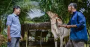 Xã biên giới Vĩnh Điều thoát nghèo nhờ sinh kế và nhà ở
