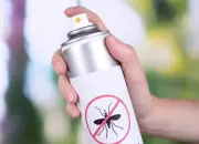 Xử lý nghiêm vi phạm về hóa chất, chế phẩm diệt côn trùng, diệt khuẩn