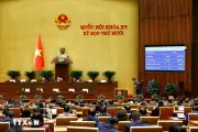 Xử lý triệt để tình trạng chậm ban hành văn bản quy định chi tiết luật