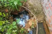 Xử phạt hai cơ sở xả nước thải vượt chuẩn ra môi trường tại Hải Phòng