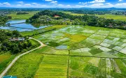 Xã Tứ Mỹ sáp nhập 37 thôn xuống 12, giữ tên xã cũ gắn kết cộng đồng