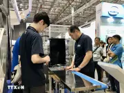 Xanh hóa ngành bao bì từ chính sách đến thực tế