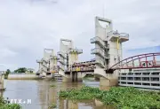 Xâm nhập mặn tiếp tục giảm, các địa phương tránh trữ tích nước ngọt