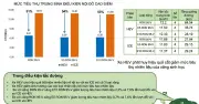 Xăng E10 chính thức triển khai toàn quốc: Chuyên gia phân tích lợi ích và lo ngại