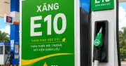 Xăng E10 để lâu có bị tách nước? Sự thật bất ngờ