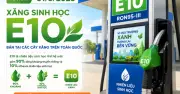 Xăng E10 tiêu thụ ổn định, Bộ Công thương đề xuất điều hành giá từ 2026