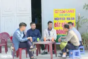 Đề xuất chế tài mạnh với người trúng đấu giá đất bỏ cọc