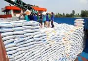Xuất khẩu gạo 6 tháng đầu năm 2026 đạt khoảng 5 triệu tấn