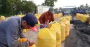 Xuất khẩu gạo Việt Nam 5 tháng đạt 4,5 triệu tấn, Philippines tăng nhập khẩu