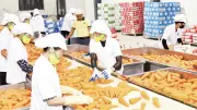 Xuất khẩu nông sản 2026: Thách thức tăng trưởng và giải pháp thúc đẩy