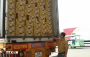Xuất khẩu qua cửa khẩu Lào Cai tăng hơn 60%, sầu riêng lập kỷ lục