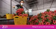 Xuất khẩu vải Việt Nam 5 tháng đầu năm đạt hơn 16 triệu USD