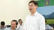 Xây dựng tiêu chuẩn mới cho rau an toàn: Đơn giản hóa quy trình sản xuất