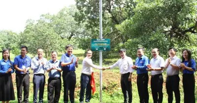 11 sinh viên Đại học Kinh tế TP.HCM được kết nạp Đảng trong chiến dịch tình nguyện
