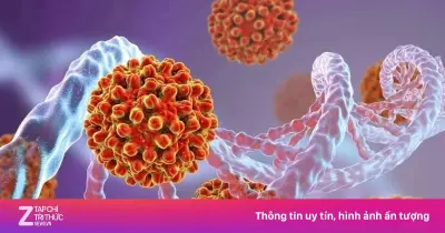 12,3% nam giới Việt nhiễm viêm gan B, nguy cơ ung thư gan cao