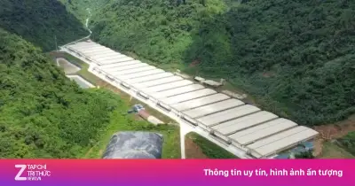 3 người tử vong, 4 người bị thương trong tai nạn lao động tại trang trại lợn Dabaco Thanh Hóa