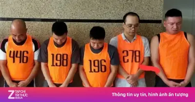 6 đường dây cá độ World Cup 2026 bị triệt phá tại Thanh Hóa và Nghệ An