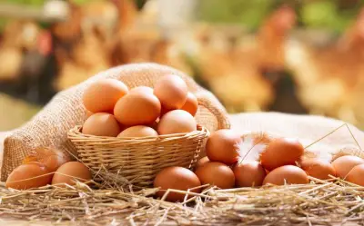 7 thực phẩm không nên kết hợp với trứng: Chuyên gia dinh dưỡng cảnh báo