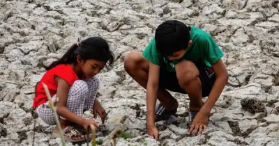 81% khả năng El Nino thành siêu El Nino vào cuối năm 2026