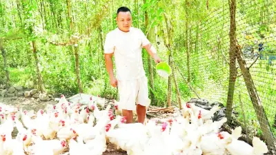 Đa dạng hóa chăn nuôi, nông dân Trà Bồng tăng thu nhập